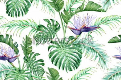 Sticker  Strelitzia blanc et feuilles tropicales. Une fleur exotique rare. Modèle sans couture aquarelle.