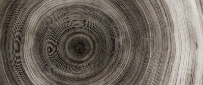 Structure en bois dans des tons gris