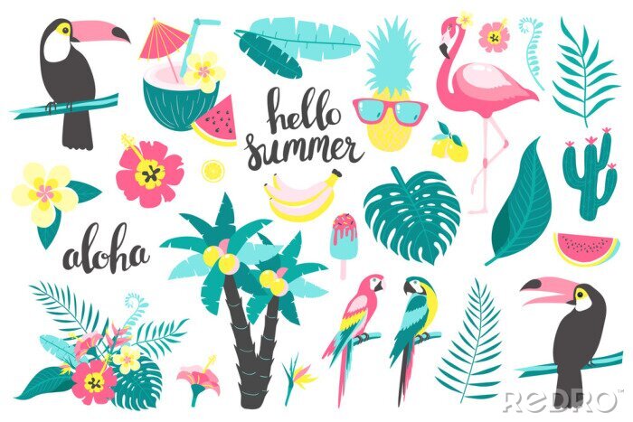 Sticker  Summer set of design elements tropical leaves, flowers, fruits, flamingos, toucan, parrot. Vector illustration