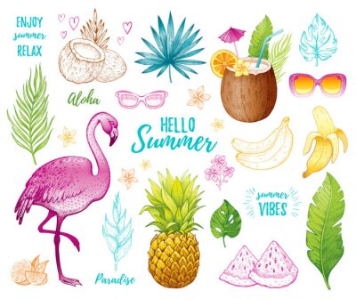 Sticker  Summer tropic sticker set for t-shirt print, logo design, print, ca. Vector flamingo, palm leaf, exotic fruit. Hand drawn vintage art. Cool doodle pineapple, watermelon, banana. White background