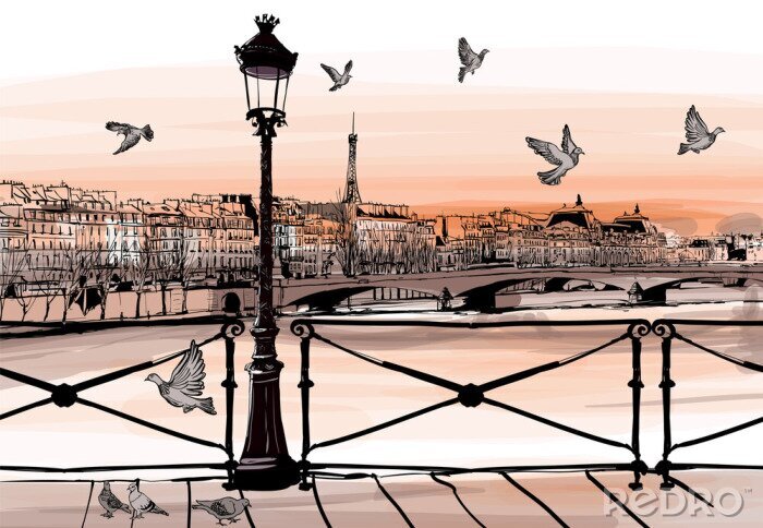 Sticker  Sunset on Seine river from Pont des arts in Paris