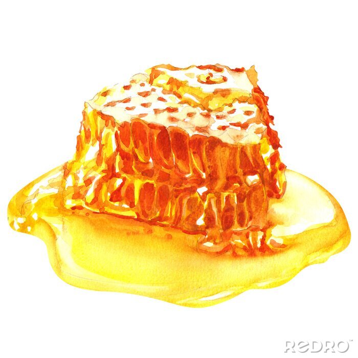 Sticker  sweet honeycombs with honey, isolated on white