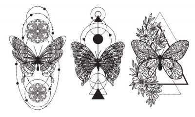Sticker  Tattoo art butterfly hand drawing and sketch with line art illustration isolated on white background.