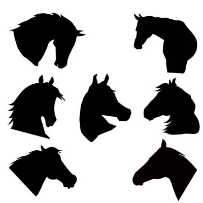 Sticker  Tête de cheval
