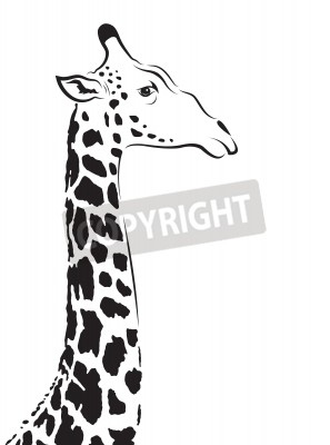 Sticker  Tête de girafe dessin noir et blanc