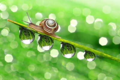 Thème de la nature pour les enfants