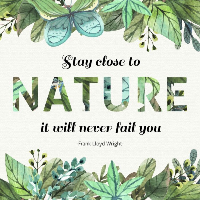 Sticker  Thème nature avec citation décorative