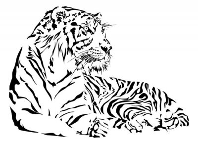 Sticker  Tigre aux contours noirs à tête relevée