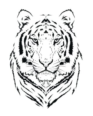 Sticker  Tigre noir contours fond blanc