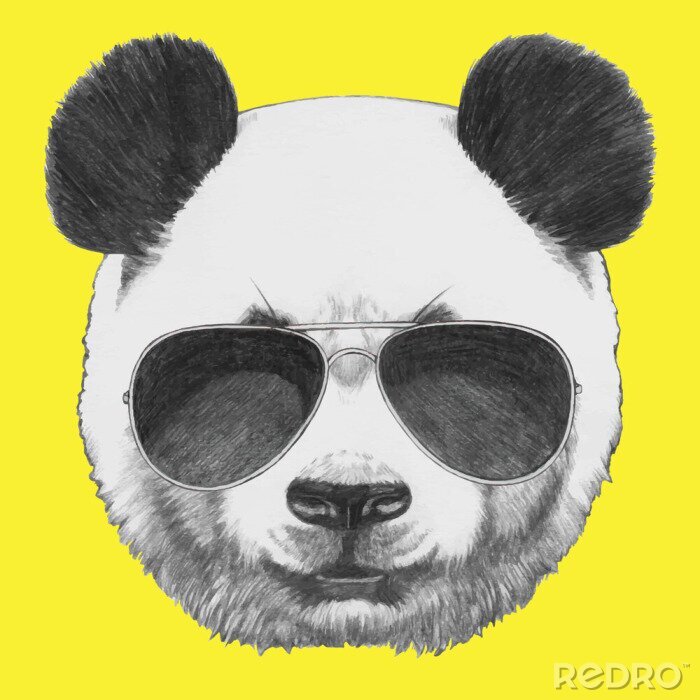 Sticker  Tiré par la main portrait de panda avec des lunettes de soleil. Vecteur isolé éléments.