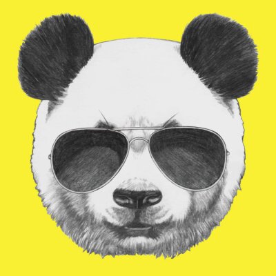 Sticker  Tiré par la main portrait de panda avec des lunettes de soleil. Vecteur isolé éléments.