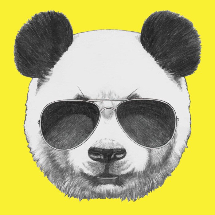 Sticker  Tiré par la main portrait de panda avec des lunettes de soleil. Vecteur isolé éléments.