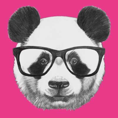 Tiré par la main portrait de panda avec des lunettes. Vecteur isolé éléments.