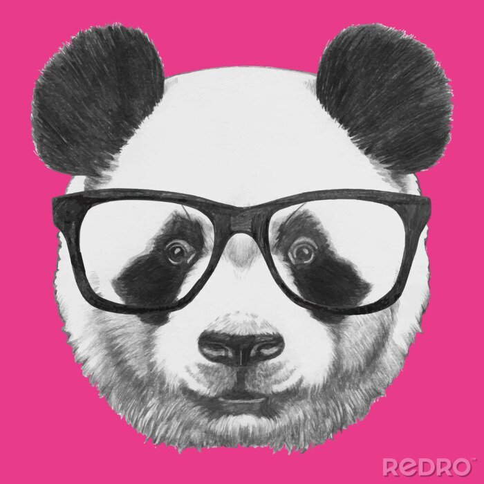 Sticker  Tiré par la main portrait de panda avec des lunettes. Vecteur isolé éléments.