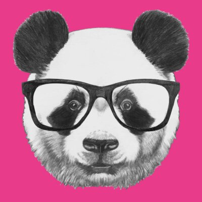 Sticker  Tiré par la main portrait de panda avec des lunettes. Vecteur isolé éléments.