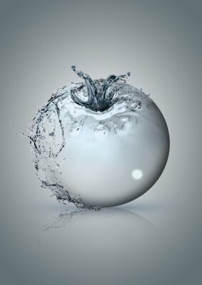 Sticker  Tomate de l'eau