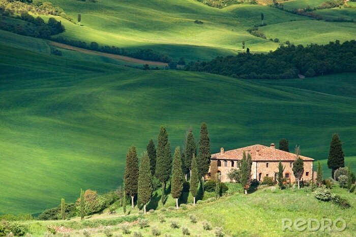 Sticker  Toscane vert paysage