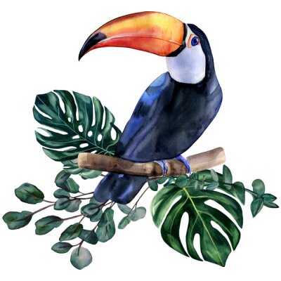 Sticker  Toucan assis sur une branche
