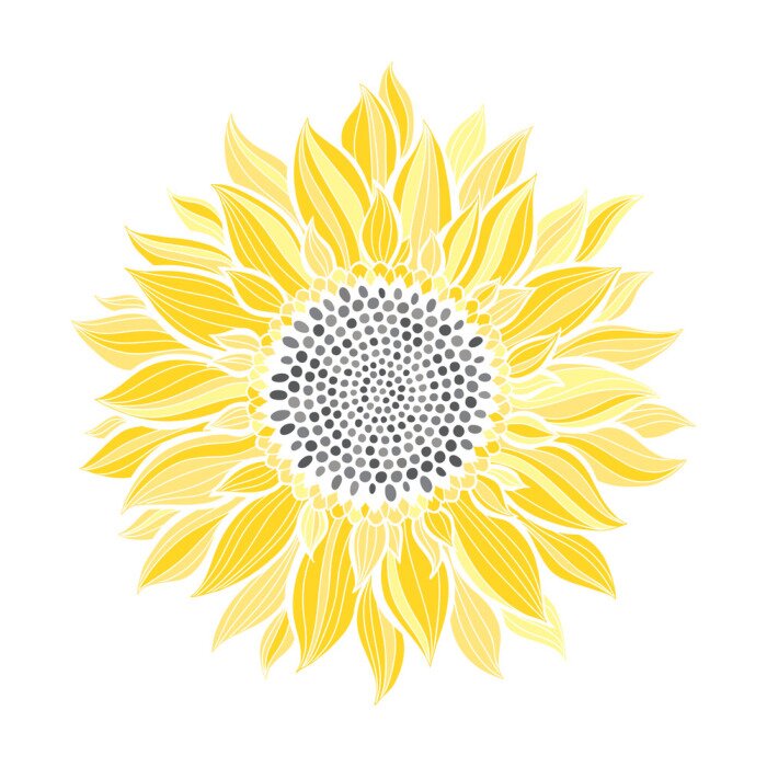 Sticker  Tournesol avec des feuilles comme des rayons