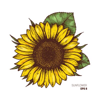 Sticker  Tournesol dans un dessin vintage