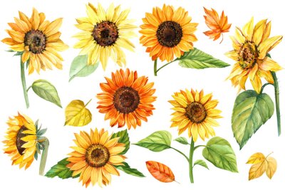 Papier peint  Tournesols motifs divers