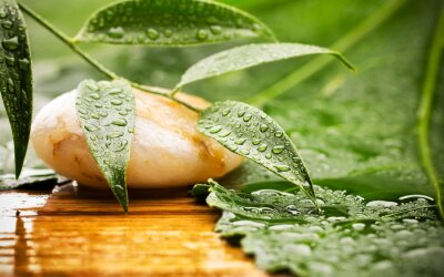 Sticker  Traitement Spa.