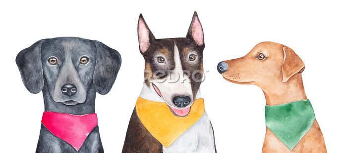 Sticker  Trois chiens avec des foulards colorés