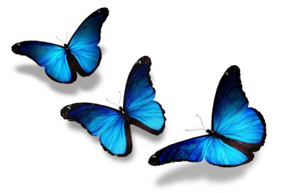 Sticker  Trois papillons bleu foncé