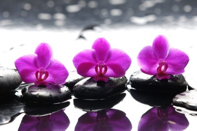 Trois pierres zen et trois orchidées avec la réflexion