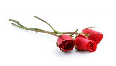 Sticker  Trois roses sans feuilles