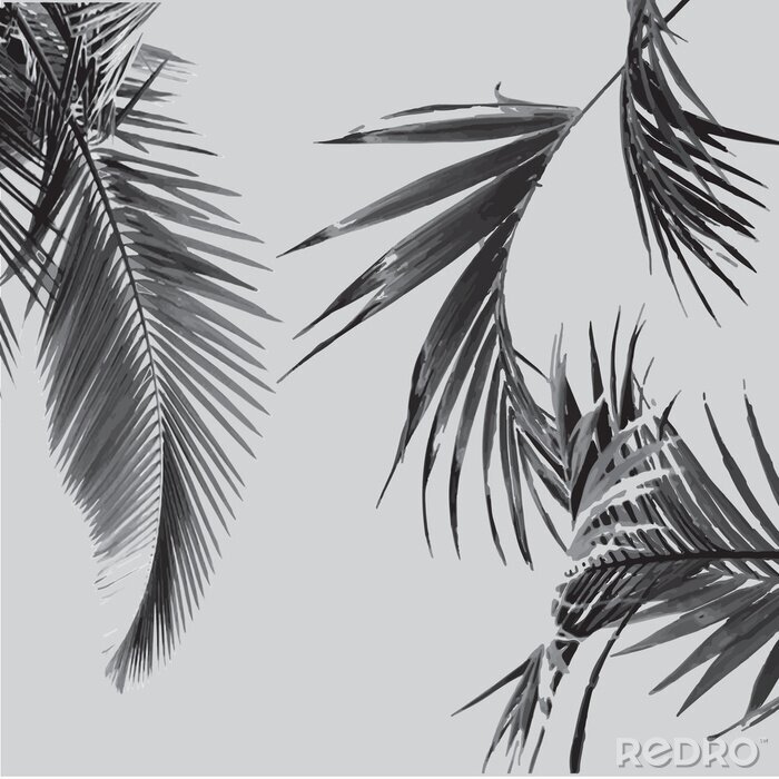 Sticker  Tropic Palm Tree Pattern