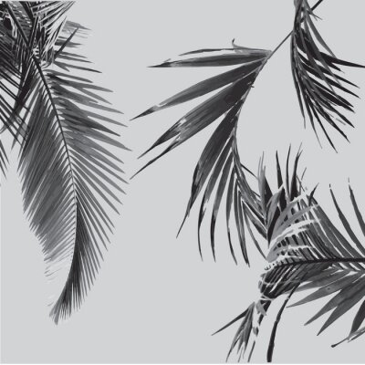 Sticker  Tropic Palm Tree Pattern