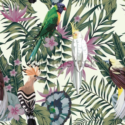 Sticker  Tropical birds parrot hoopoe, exotic jungle plants leaves flowers abstract pastel color seamless white background