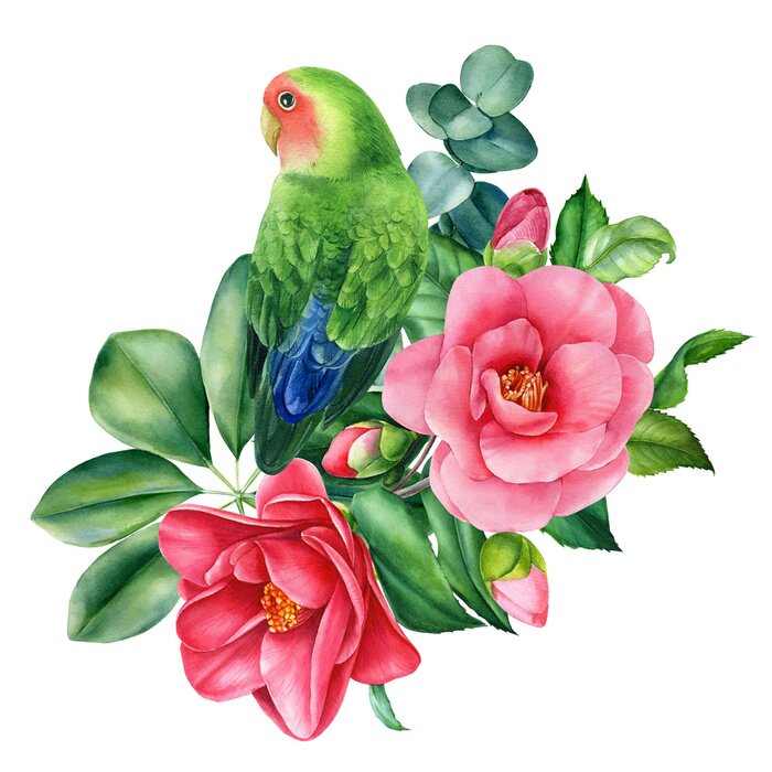 Sticker  Tropical composition bouquet of flowers and parrots lovebirds on isolated white background, watercolor illustration