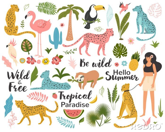 Sticker  Tropical exotic set with leaf, leopards, parrot, toucan, palm tree and quotes. Wild animals and birds. Summer vector illustration.
