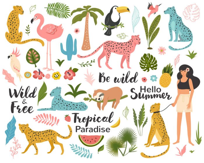 Sticker  Tropical exotic set with leaf, leopards, parrot, toucan, palm tree and quotes. Wild animals and birds. Summer vector illustration.