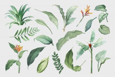 Sticker  Tropical leaves and plants