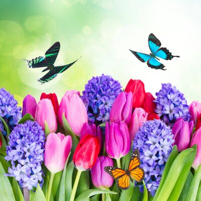 Sticker  Tulipes aux trois papillons