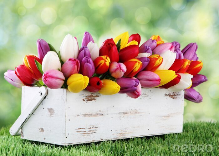 Sticker  Tulipes blanches dans un bouquet coloré