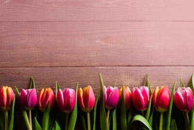 Sticker  Tulipes côte à côte