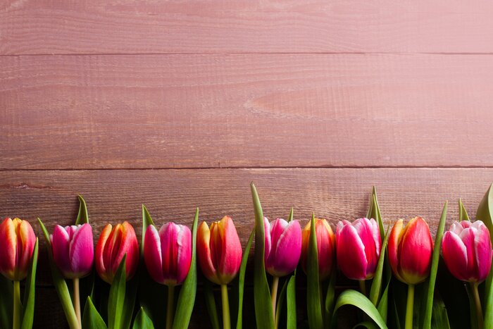 Sticker  Tulipes côte à côte