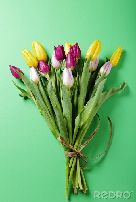 Sticker  Tulipes dans un bouquet sur fond vert