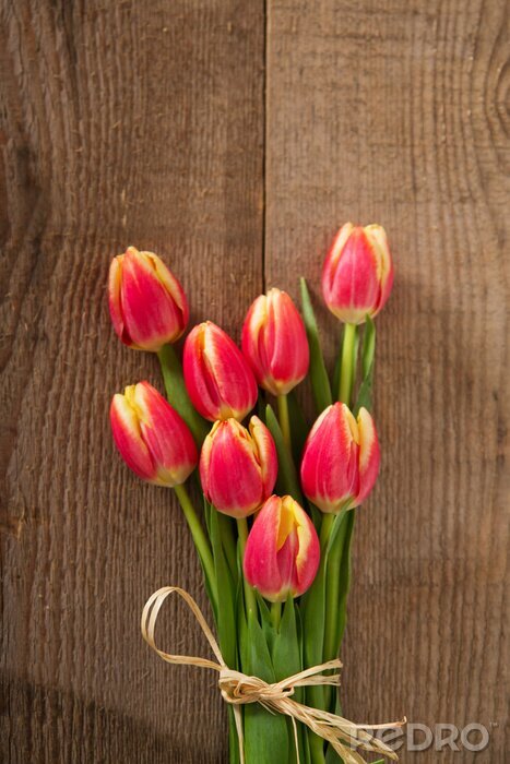 Sticker  Tulipes dans un petit bouquet
