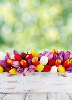 Sticker  Tulipes disposées dans une boîte