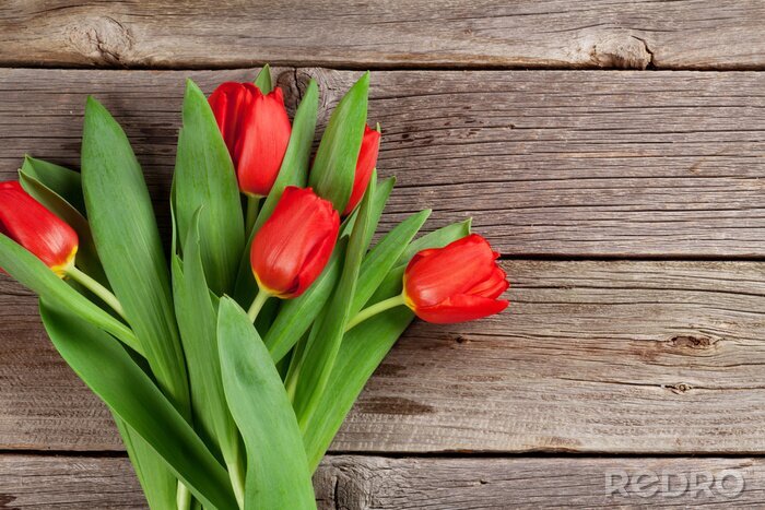 Sticker  Tulipes en bouquet sur les planches