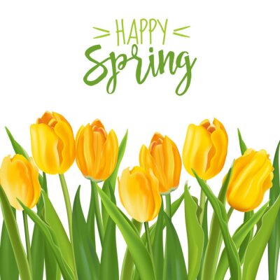 Sticker  Tulipes jaunes au printemps