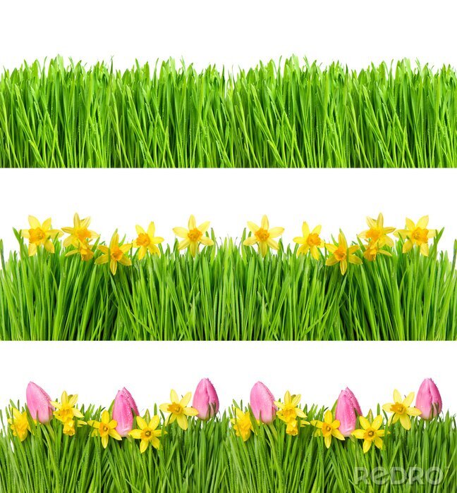 Sticker  Tulipes, jonquilles et herbe