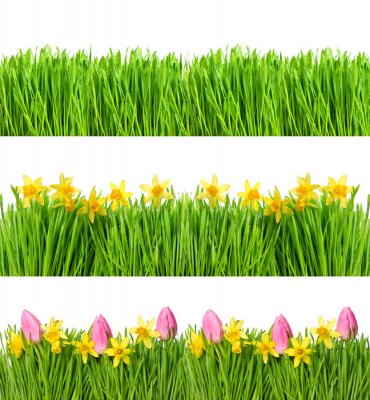 Sticker  Tulipes, jonquilles et herbe