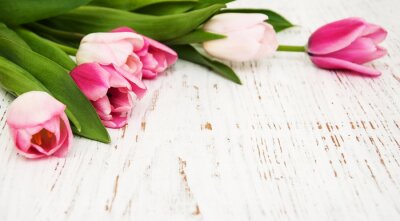 Sticker  Tulipes pastels sur le planches