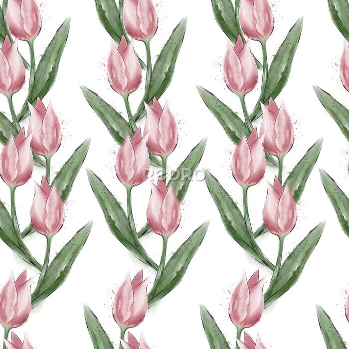 Sticker  Tulipes roses aquarellées sur fond blanc